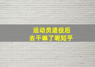 运动员退役后去干嘛了呢知乎