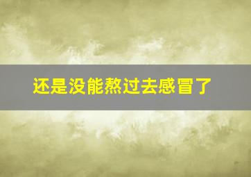 还是没能熬过去感冒了