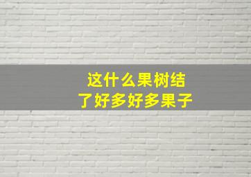 这什么果树结了好多好多果子