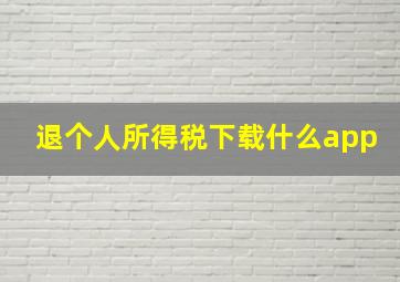 退个人所得税下载什么app