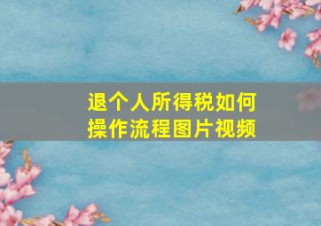 退个人所得税如何操作流程图片视频