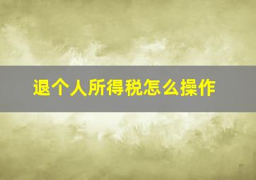 退个人所得税怎么操作