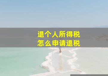 退个人所得税怎么申请退税