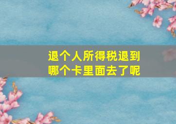 退个人所得税退到哪个卡里面去了呢