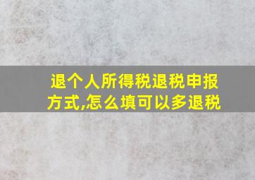 退个人所得税退税申报方式,怎么填可以多退税