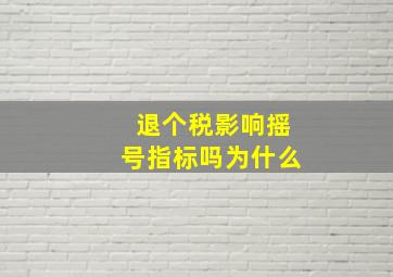 退个税影响摇号指标吗为什么