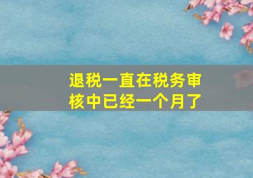 退税一直在税务审核中已经一个月了