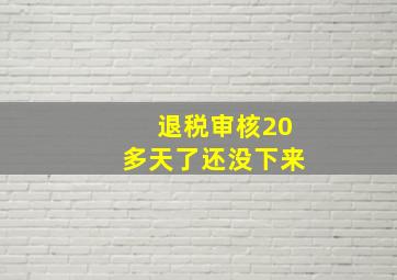 退税审核20多天了还没下来