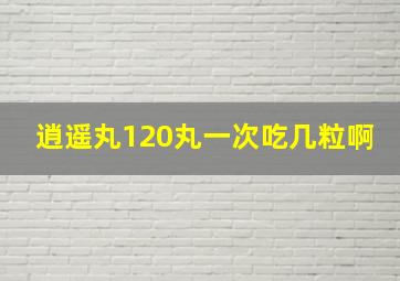 逍遥丸120丸一次吃几粒啊