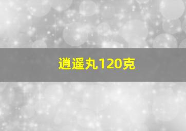 逍遥丸120克