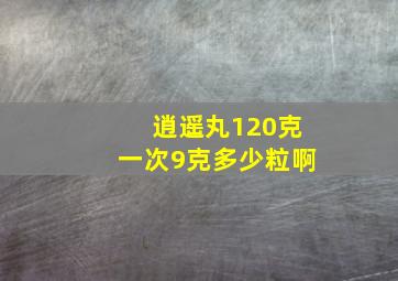 逍遥丸120克一次9克多少粒啊