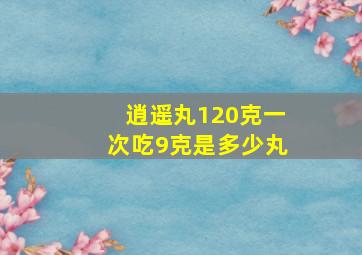 逍遥丸120克一次吃9克是多少丸