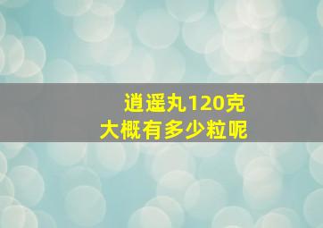 逍遥丸120克大概有多少粒呢