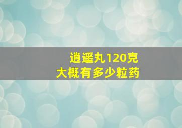 逍遥丸120克大概有多少粒药