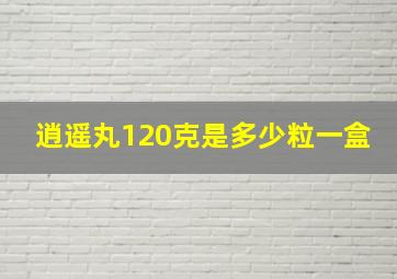 逍遥丸120克是多少粒一盒