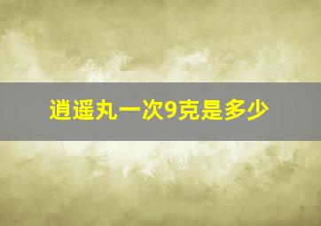 逍遥丸一次9克是多少