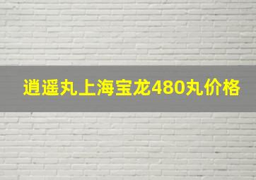 逍遥丸上海宝龙480丸价格