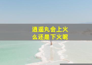 逍遥丸会上火么还是下火呢