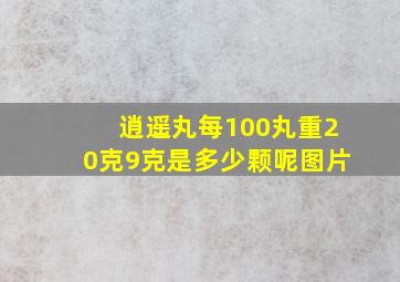 逍遥丸每100丸重20克9克是多少颗呢图片