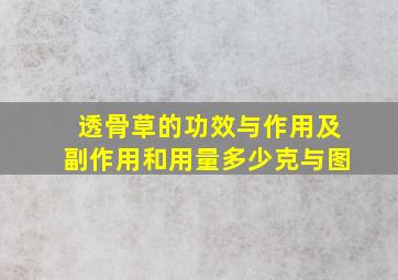 透骨草的功效与作用及副作用和用量多少克与图