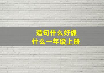 造句什么好像什么一年级上册