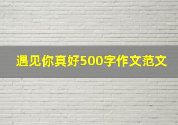 遇见你真好500字作文范文