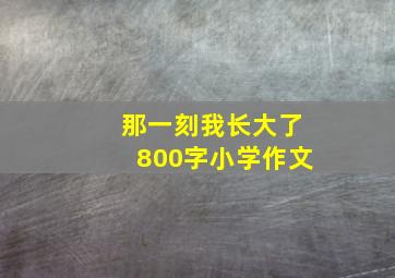 那一刻我长大了800字小学作文