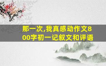 那一次,我真感动作文800字初一记叙文和评语