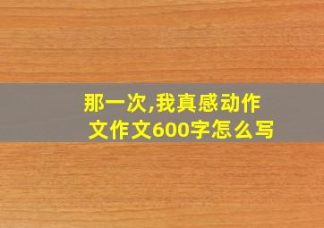 那一次,我真感动作文作文600字怎么写