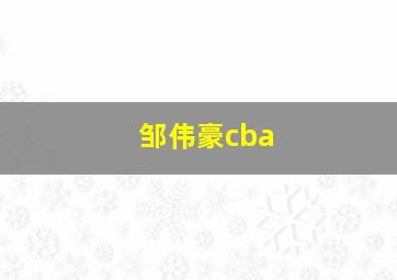 邹伟豪cba