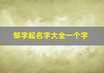 邹字起名字大全一个字