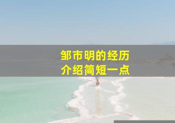 邹市明的经历介绍简短一点