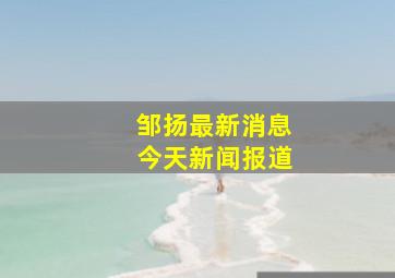 邹扬最新消息今天新闻报道