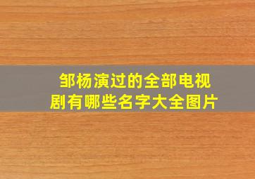 邹杨演过的全部电视剧有哪些名字大全图片