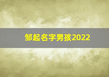 邹起名字男孩2022