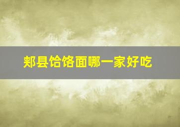 郏县饸饹面哪一家好吃