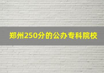 郑州250分的公办专科院校