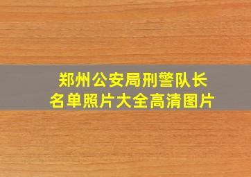 郑州公安局刑警队长名单照片大全高清图片