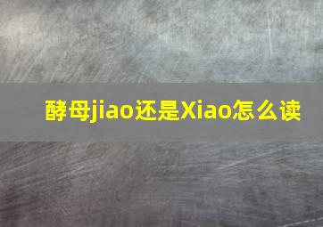 酵母jiao还是Xiao怎么读