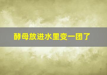 酵母放进水里变一团了