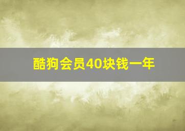 酷狗会员40块钱一年