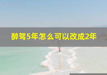 醉驾5年怎么可以改成2年