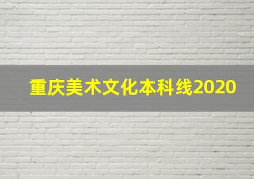 重庆美术文化本科线2020