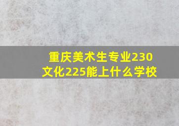 重庆美术生专业230文化225能上什么学校