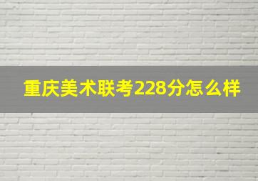 重庆美术联考228分怎么样