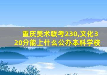 重庆美术联考230,文化320分能上什么公办本科学校