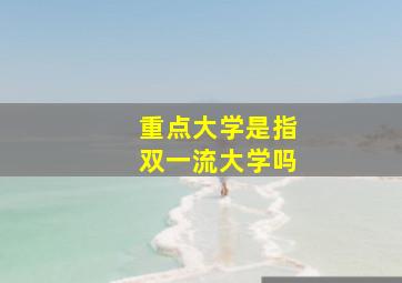 重点大学是指双一流大学吗