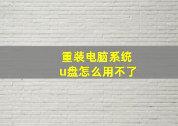 重装电脑系统u盘怎么用不了