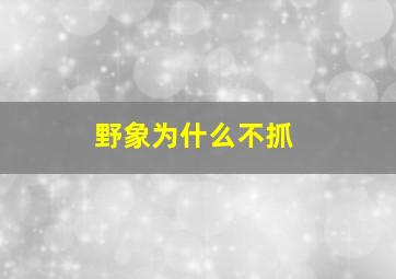 野象为什么不抓