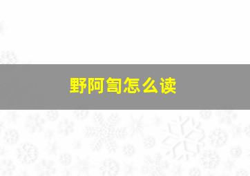 野阿訇怎么读